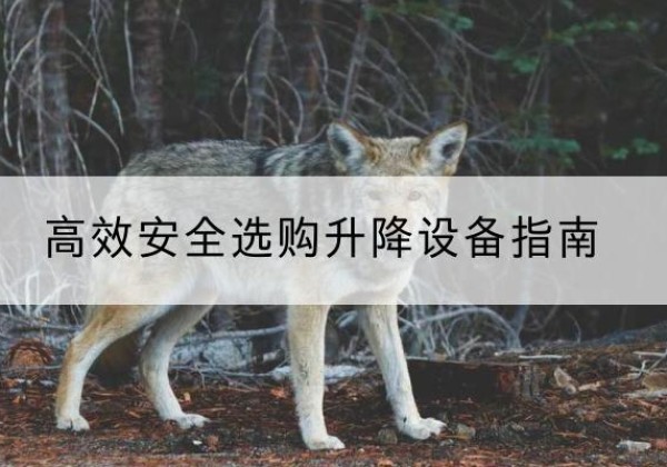 马鞍山升降货梯厂家推荐-*安全选购升降设备指南