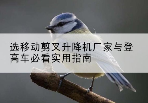 马鞍山电动升降机厂家-选移动剪叉升降机厂家与登高车必看实用指南